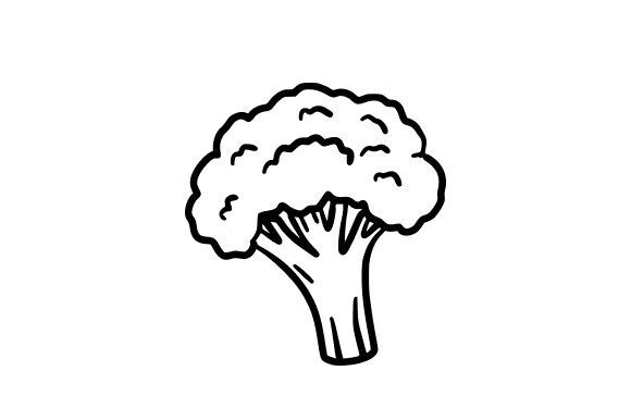 Broccoli Sketch: Graphics for Editorial and Web Design